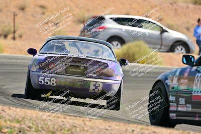 media/May-04-2025-Lucky Dog Racing (Sun) [[21629467aa]]/Turn 4 (10-1045am)/Rear/